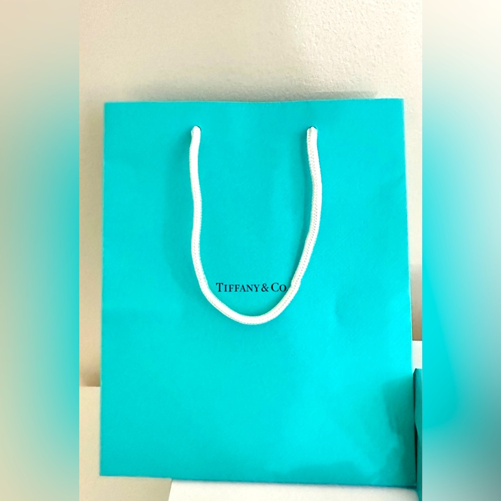 Tiffany & Co. Paper Bag